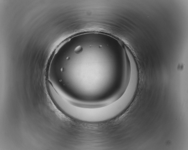 X0000111391086200907241328