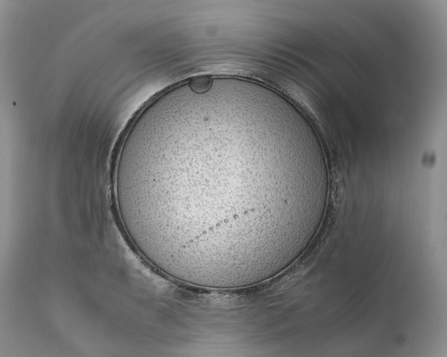 X0000111391087200907241328