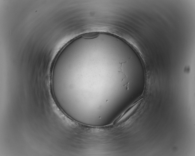 X0000111391088200907241328