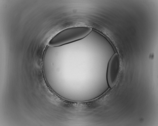 X0000111391089200907241328