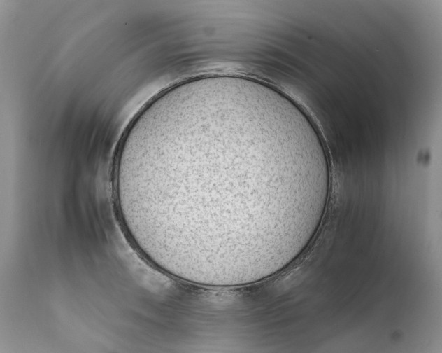 X0000111391090200907241328