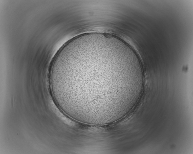 X0000111391091200907241328