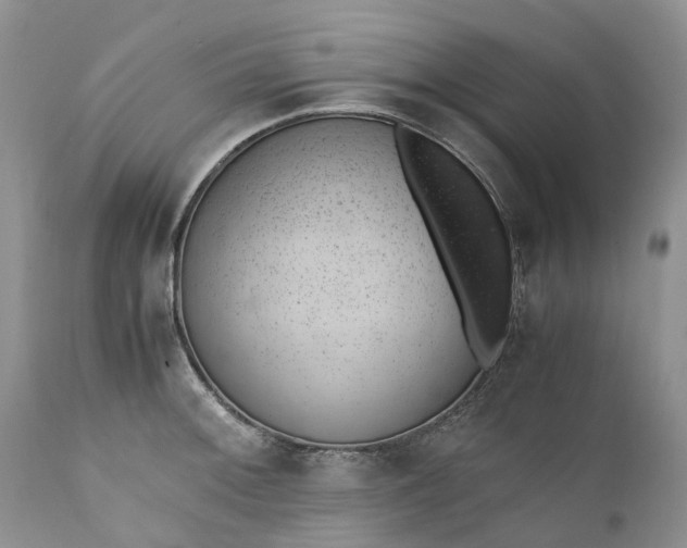 X0000111391092200907241328