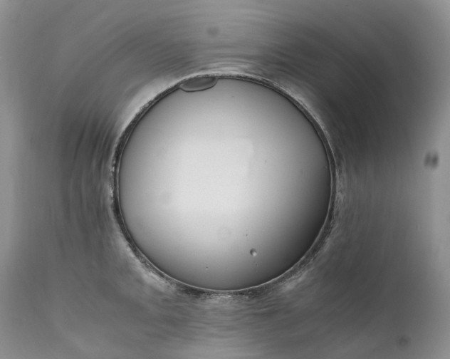 X0000111391093200907241328