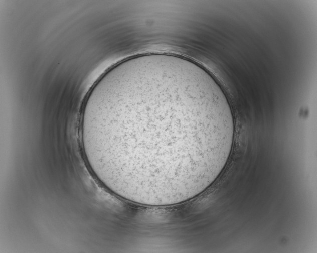 X0000111391094200907241328