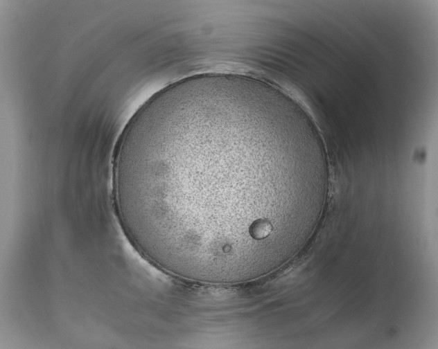 X0000111391095200907241328