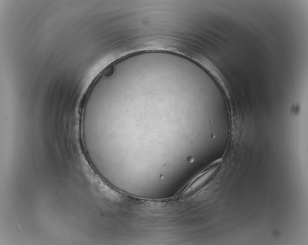 X0000111391096200907241328