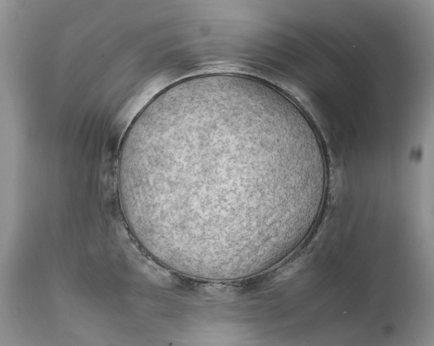 X0000111391097200907241328