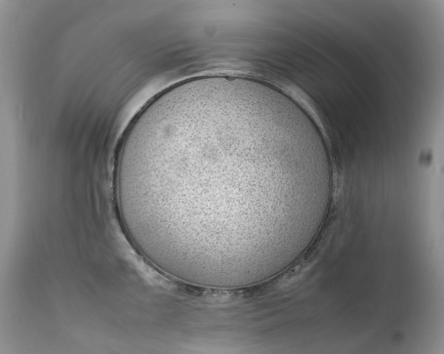 X0000111391099200907241328