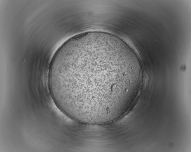 X0000111391100200907241328