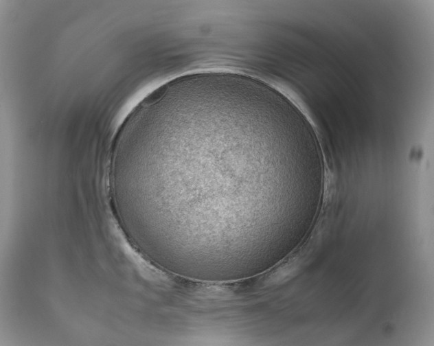 X0000111391101200907241328