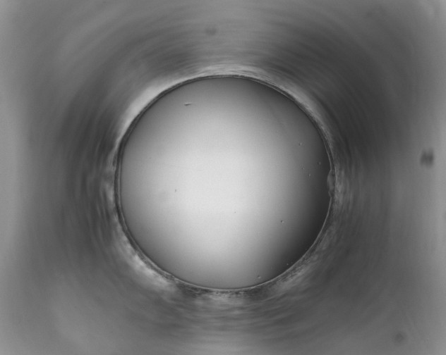 X0000111391102200907241328