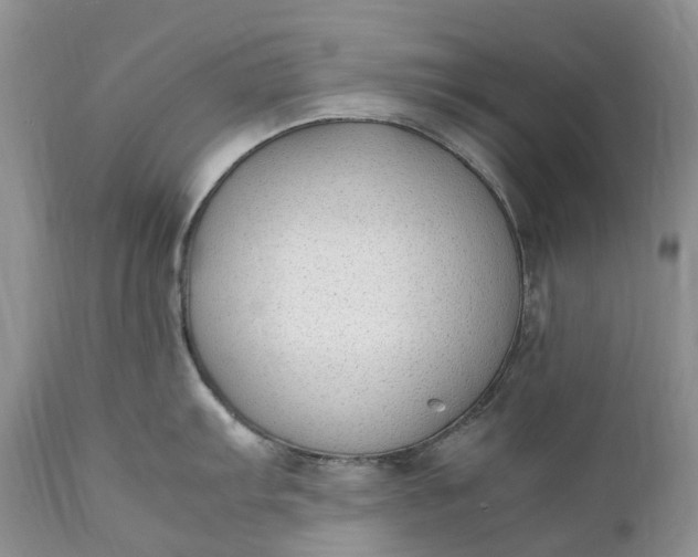 X0000111391103200907241328