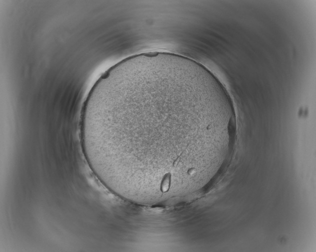 X0000111391104200907241328