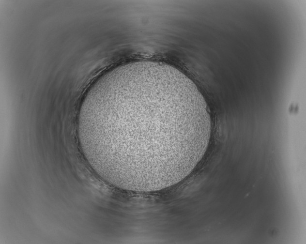 X0000111391105200907241327