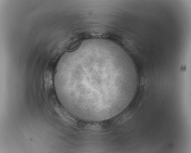 X0000111391106200907241327