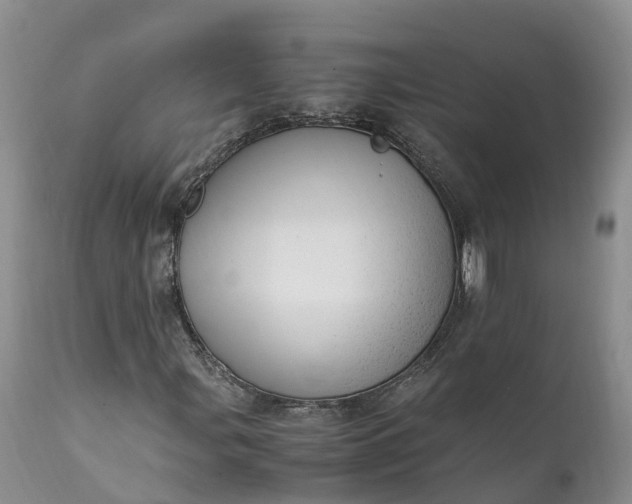 X0000111391107200907241327