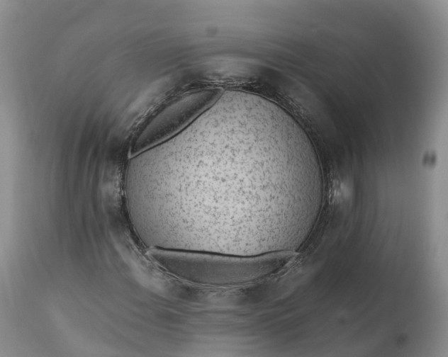 X0000111391108200907241327