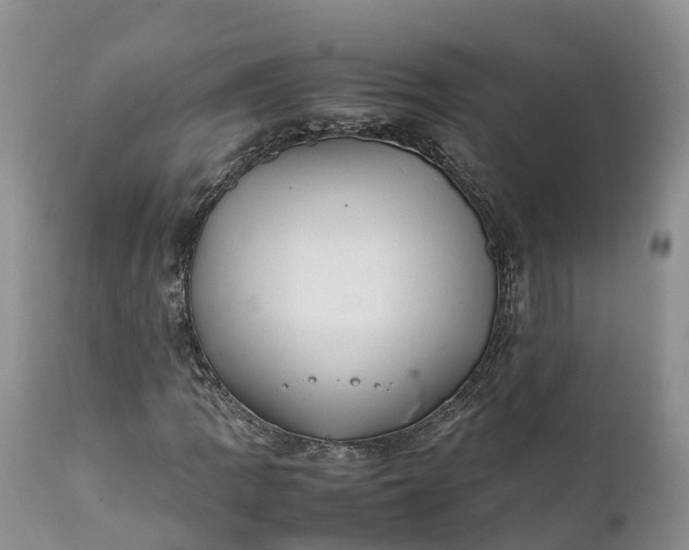 X0000111391109200907241327