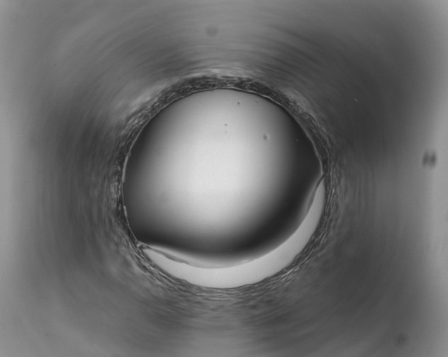 X0000111391110200907241327