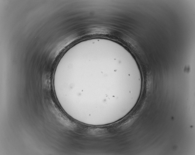 X0000111391113200907241327