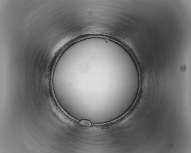 X0000111391114200907241327