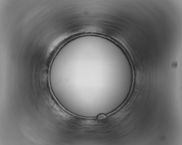 X0000111391115200907241327