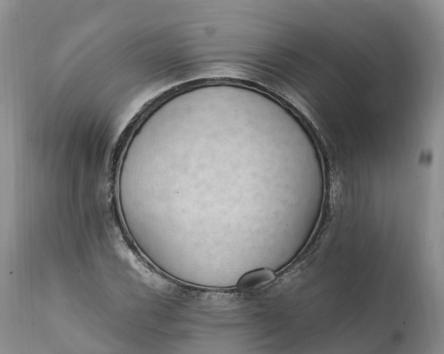 X0000111391116200907241327