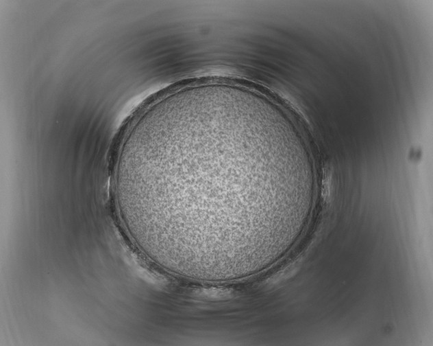 X0000111391117200907241327