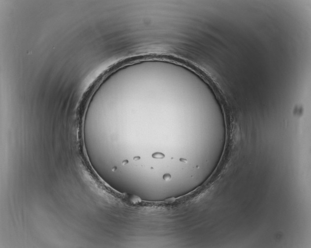 X0000111391118200907241327