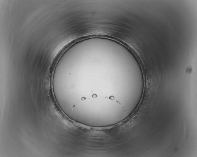 X0000111391119200907241327