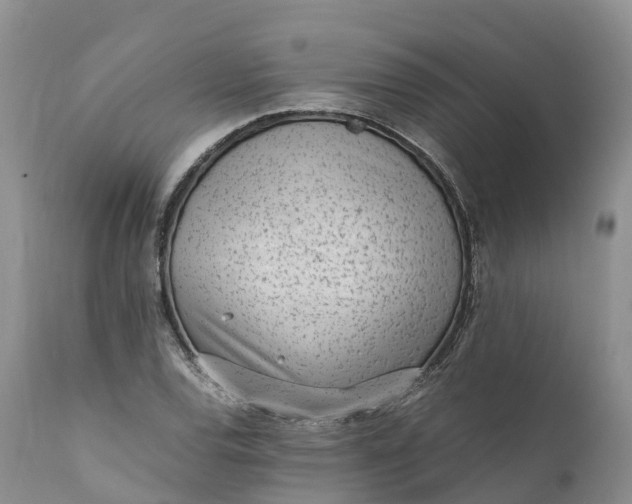 X0000111391120200907241327