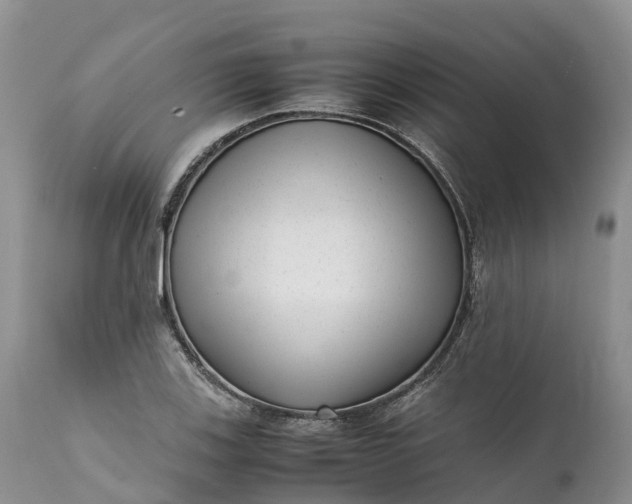 X0000111391123200907241327