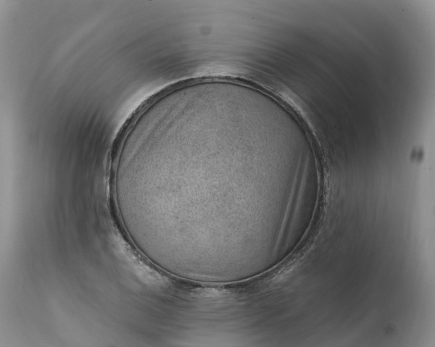 X0000111391124200907241327