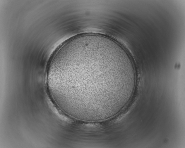 X0000111391125200907241327