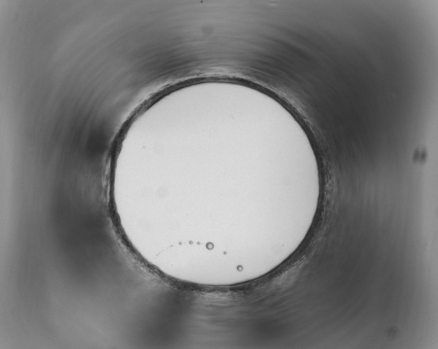 X0000111391126200907241327