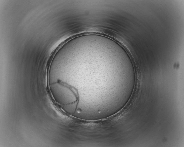 X0000111391127200907241327