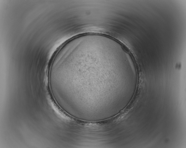 X0000111391128200907241327