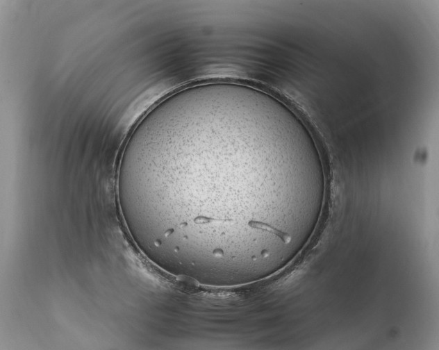 X0000111391129200907241327