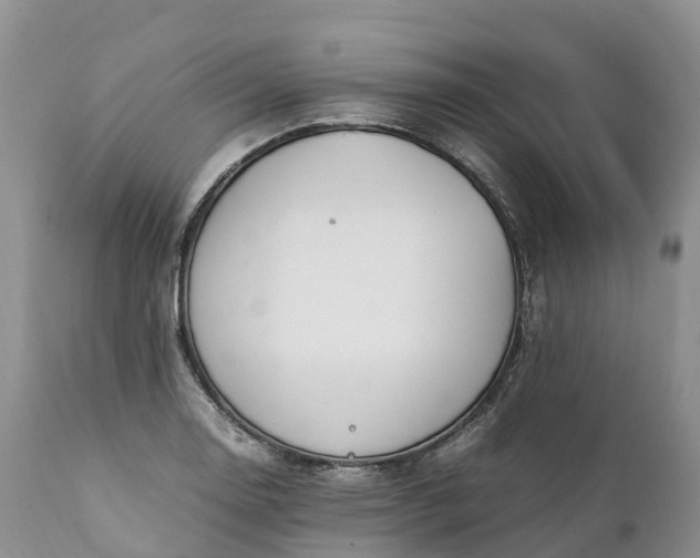 X0000111391130200907241327