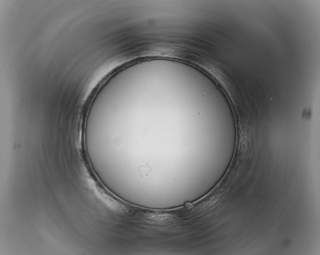 X0000111391131200907241328