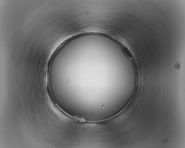 X0000111391132200907241328