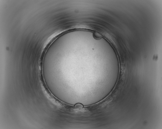 X0000111391133200907241328