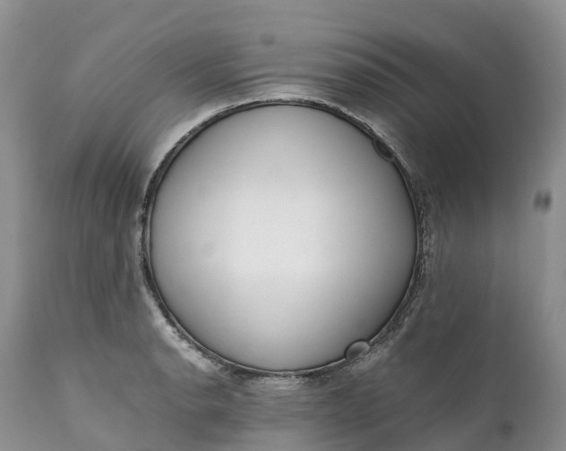 X0000111391134200907241328