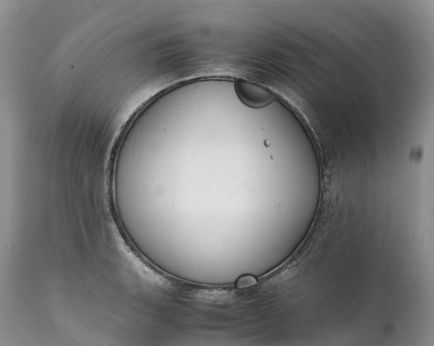 X0000111391135200907241328