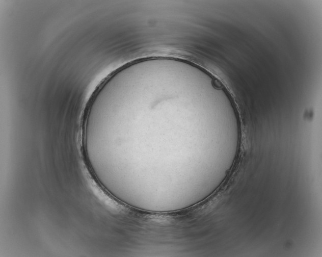 X0000111391136200907241328