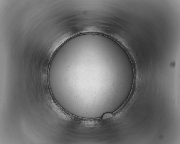 X0000111391137200907241328