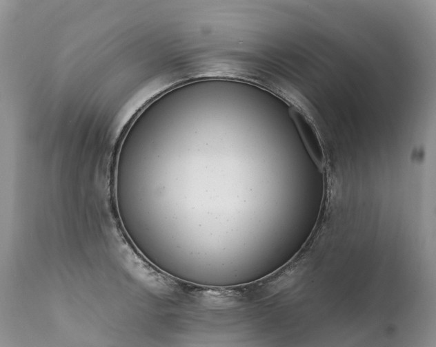 X0000111391138200907241328