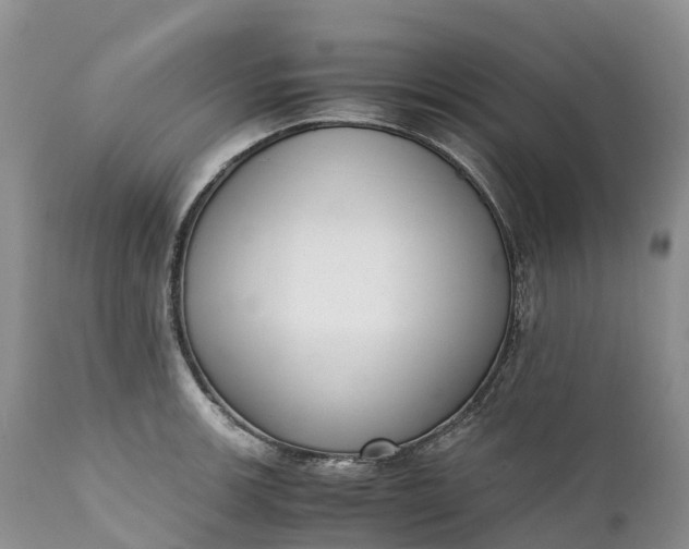 X0000111391139200907241328