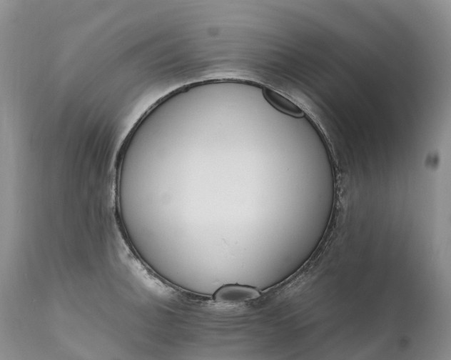 X0000111391140200907241328